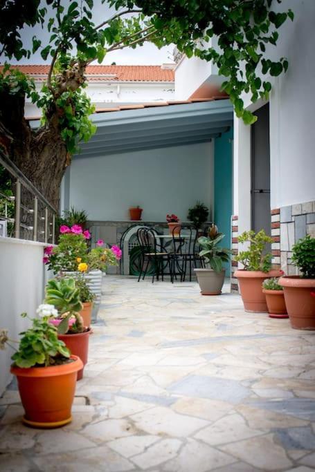 Apartment Spacious In The Heart Of
